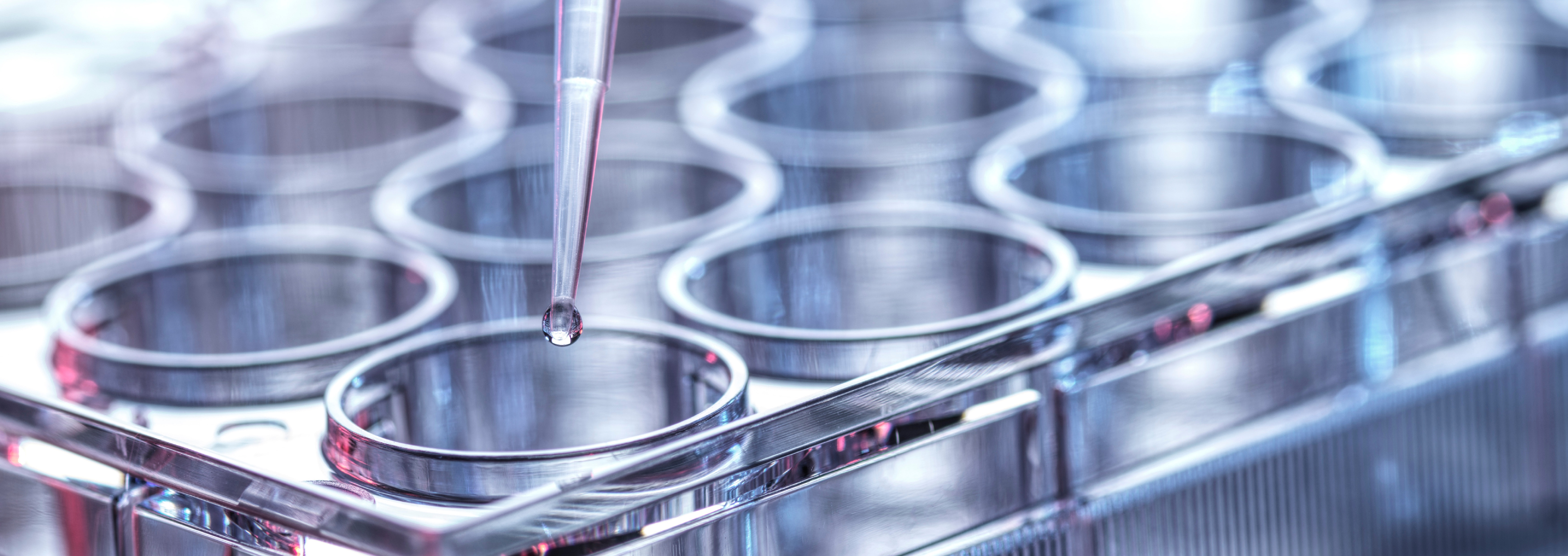 The Pharmaceutical Tariff Architecture: A Section 232 Analysis of Supply Chain DecouPLING